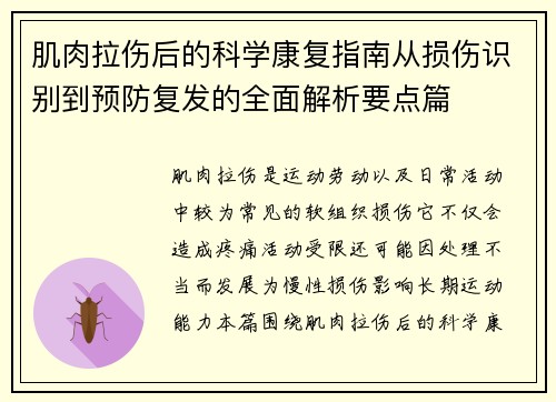 肌肉拉伤后的科学康复指南从损伤识别到预防复发的全面解析要点篇 肌肉拉伤后的科学康复指南从损伤识别到预防复发的全面解析要点篇